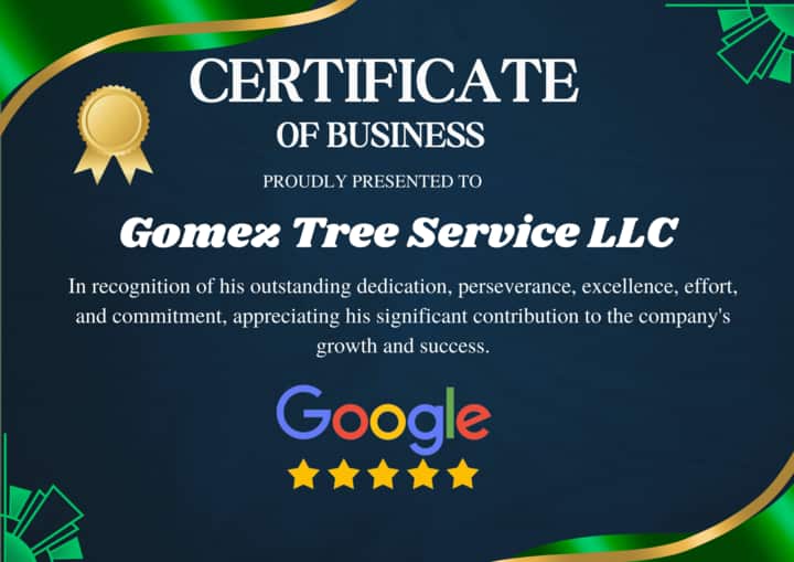 Gomez Tree Service founder and owner portrait